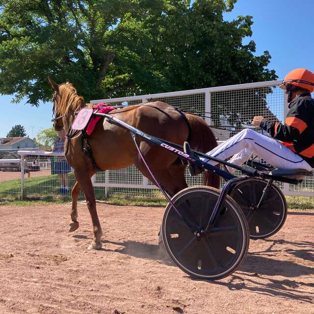 Les coulisses de l'hippodrome
