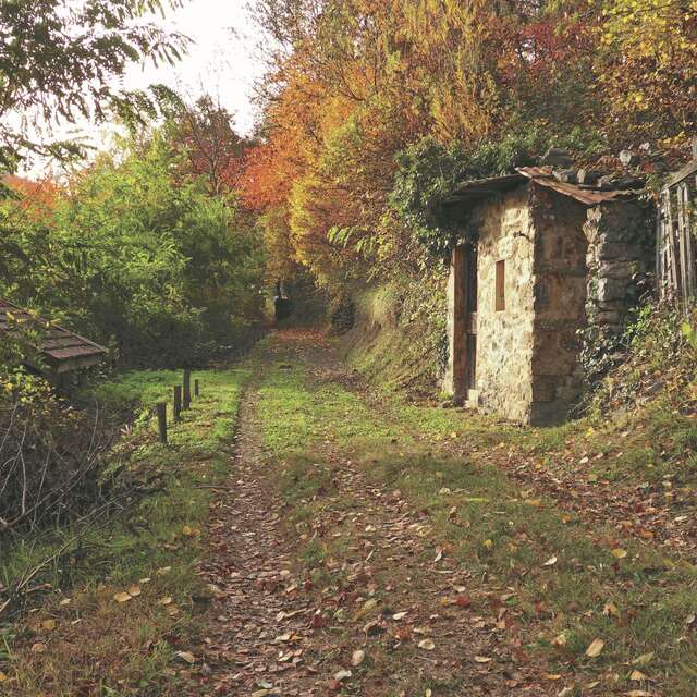 Circuit pédestre du balcon de Combeloup - 3h30 - Départ St-Nizier d'Uriage