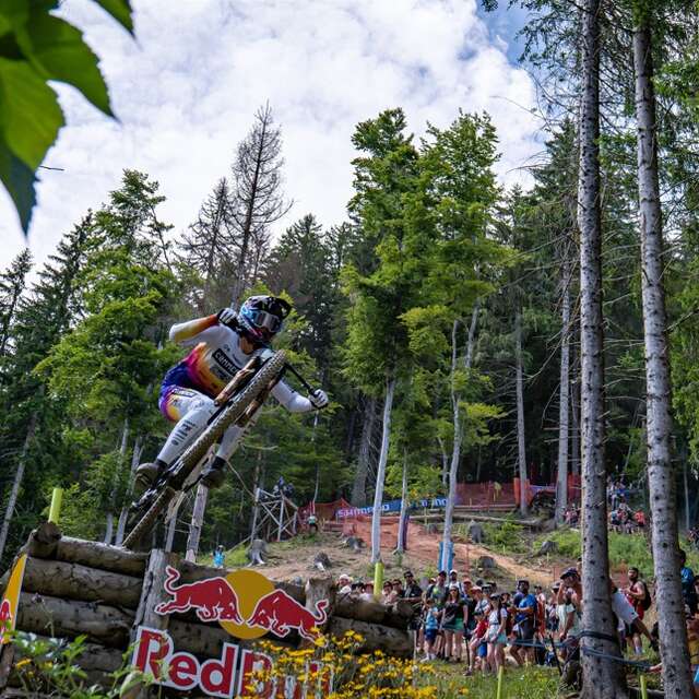 Descente (DHI)