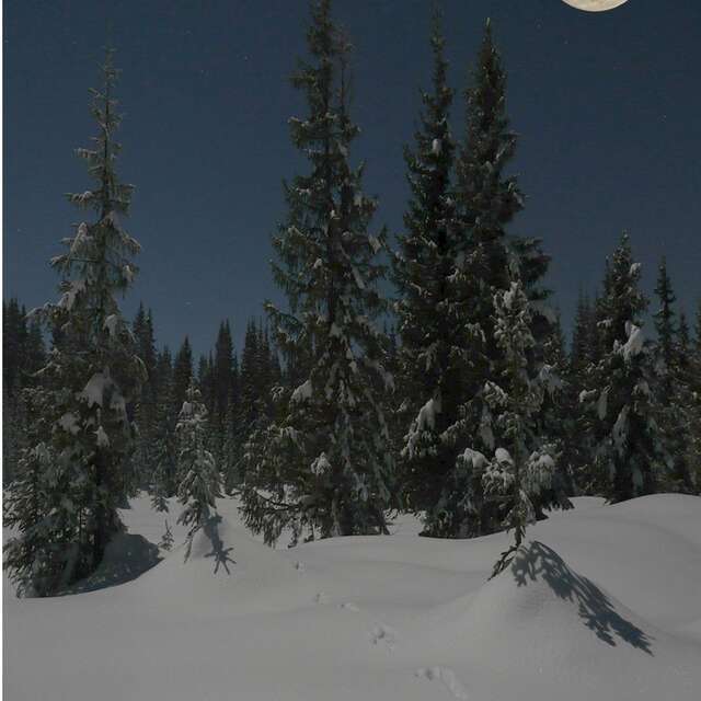 Sortie nocturne au clair de lune