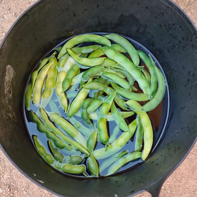 Atelier lacto fermentation