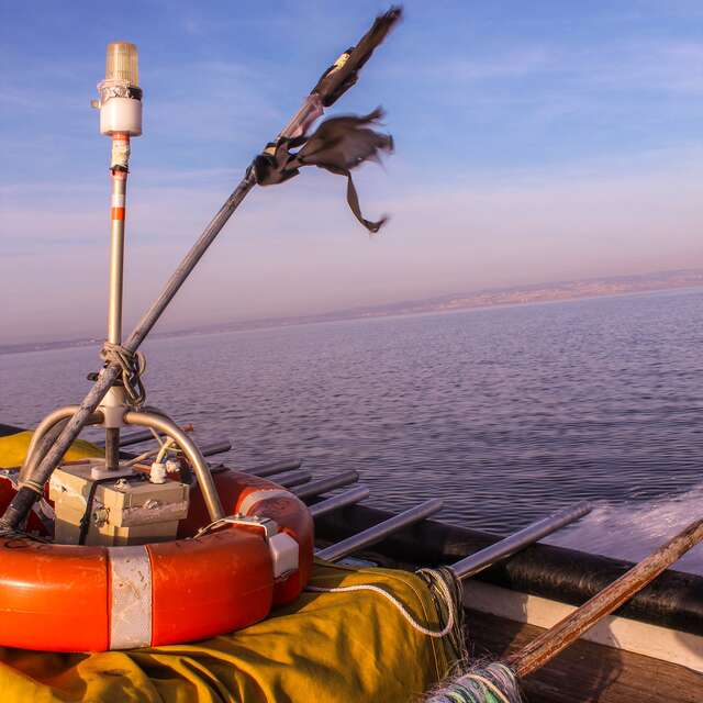 Découverte de la pêche à la traîne