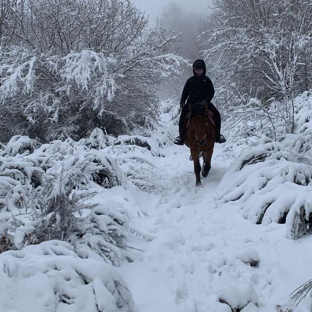 Balade hivernale