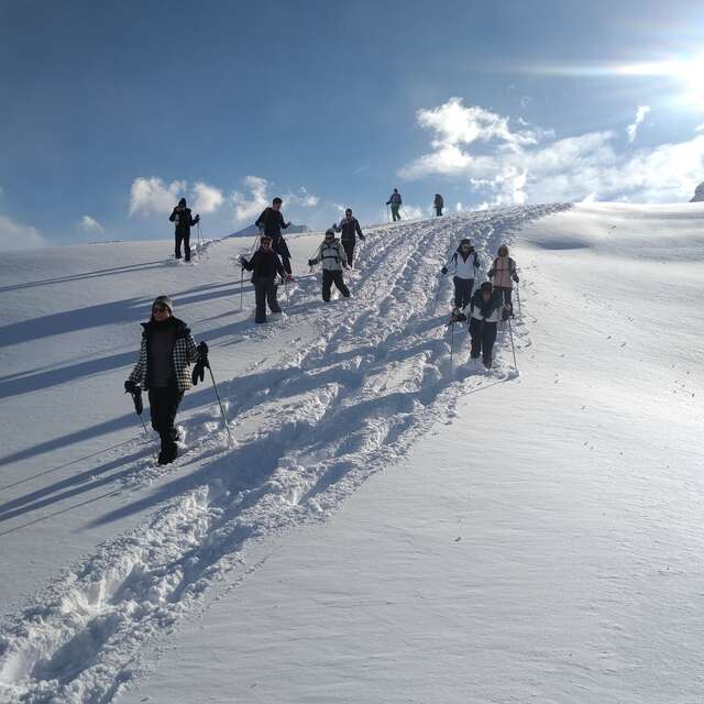 La magie de la neige