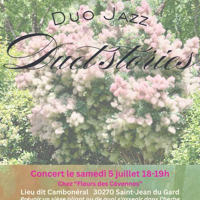 Duet stories duo jazz
