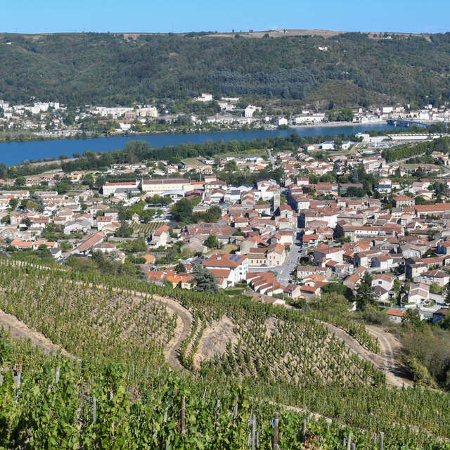 Les coteaux du Saint-Joseph