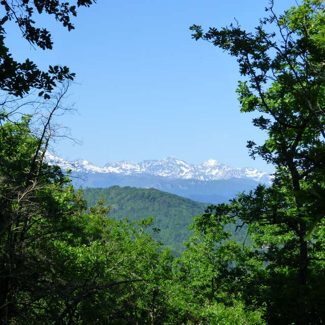 Le sentier de la Croix par le chemin de Pierre