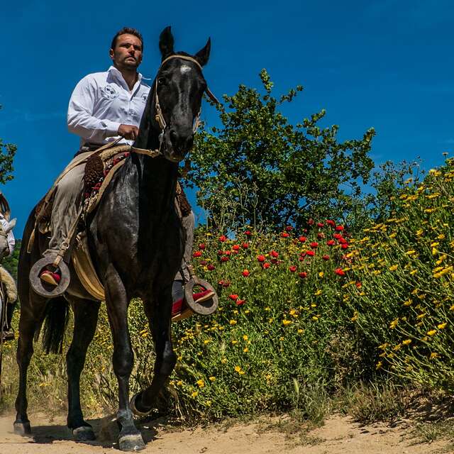 Rando vigneronne à cheval
