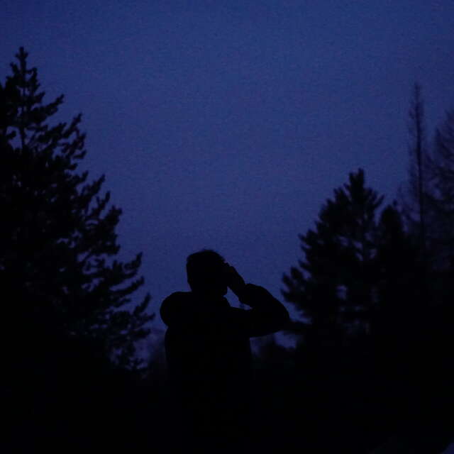 Balade nocturne : chouette soirée en forêt