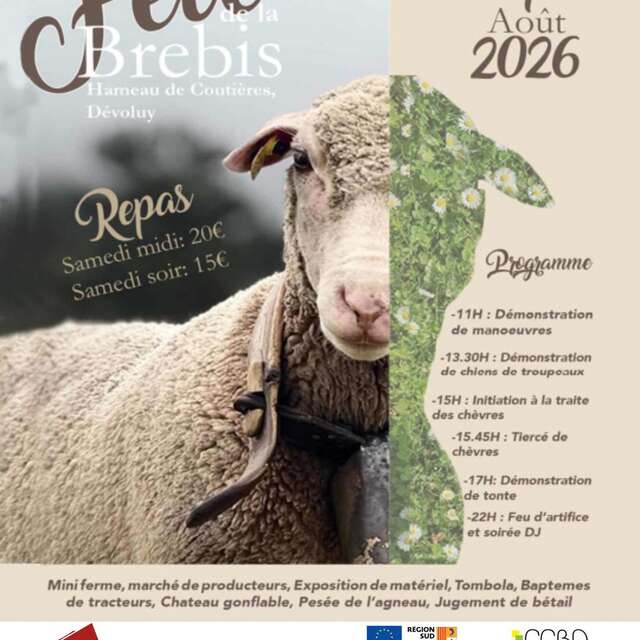 Fête de la brebis