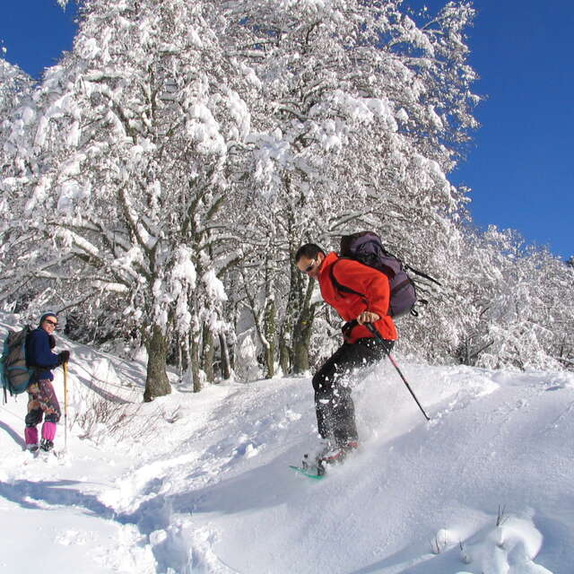 La balade des p’tits loups
