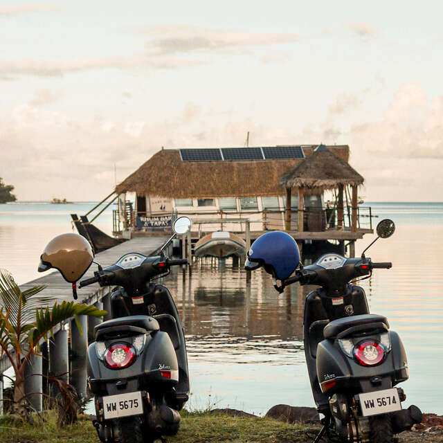 Tahaa Vroom