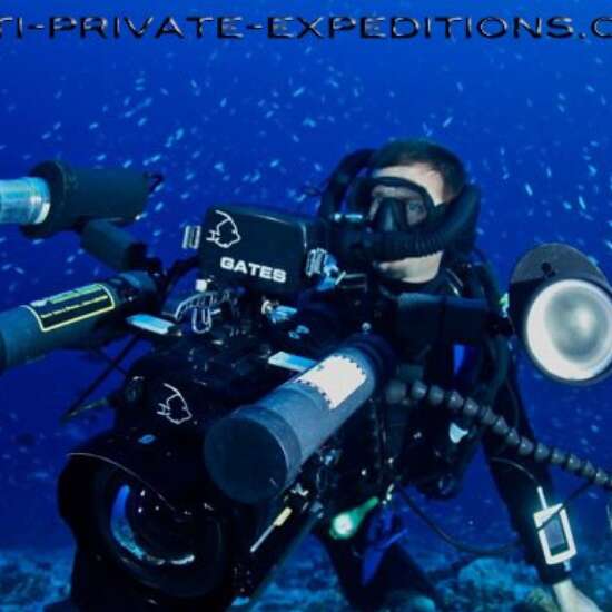 Tahiti Private Expeditions - Whale watching tours