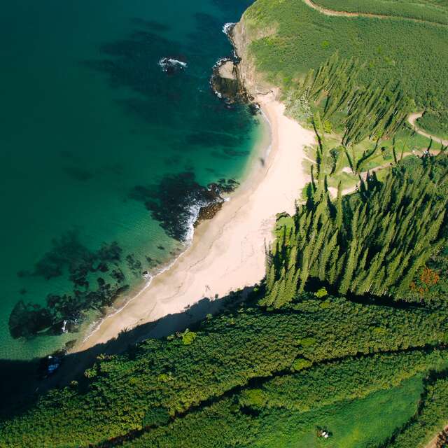 Baie des tortues