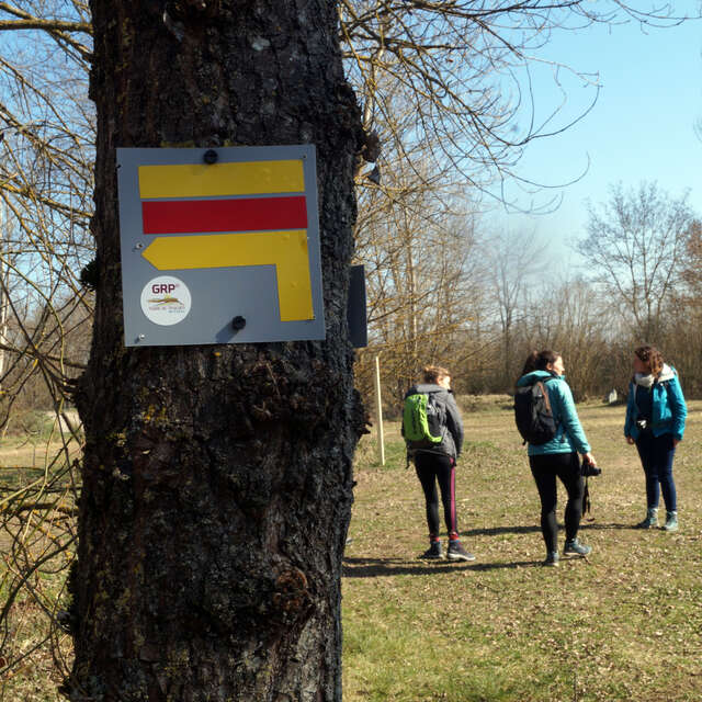 GRP® Terre de Tisseurs en Forez : Boucle Fleuve Loire