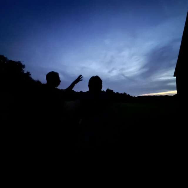 Nuit Safari