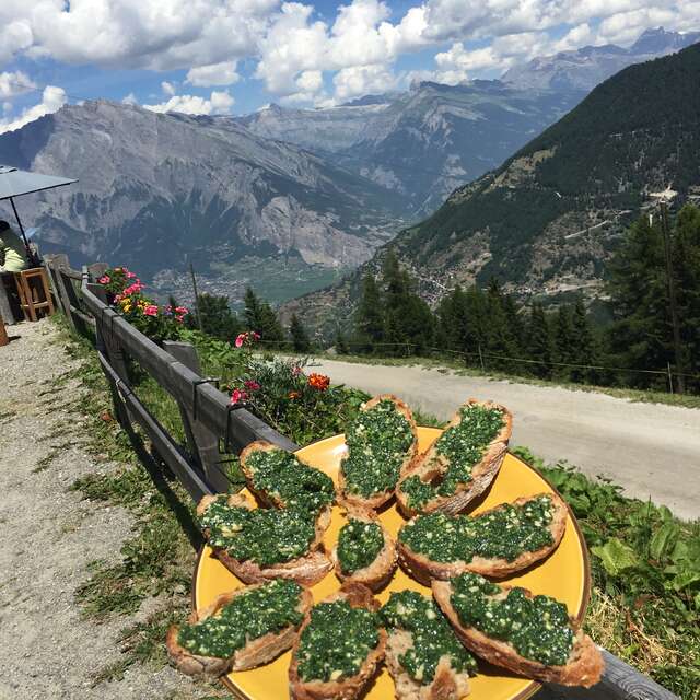Cueillette et dégustation de plantes