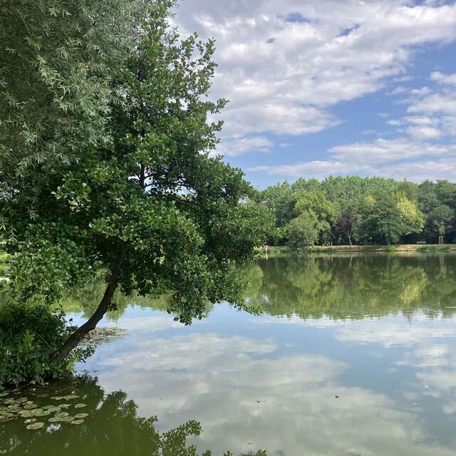 Etang d'Anneyron -base de l'Argentelle