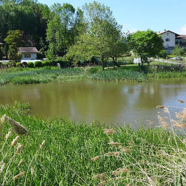 Espace naturel sensible le Marais d'Avalon