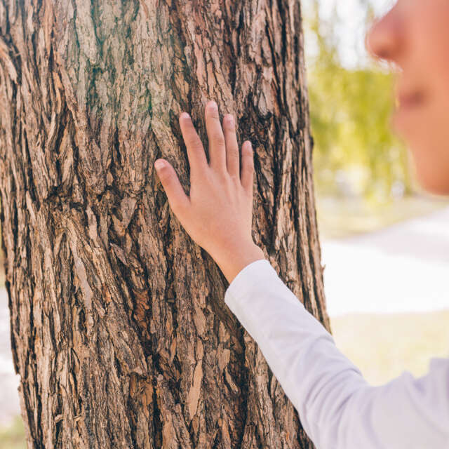 Visite sensorielle à l'arboretum d'Angers