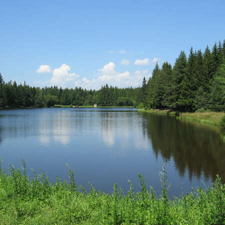 Etang du Breuil