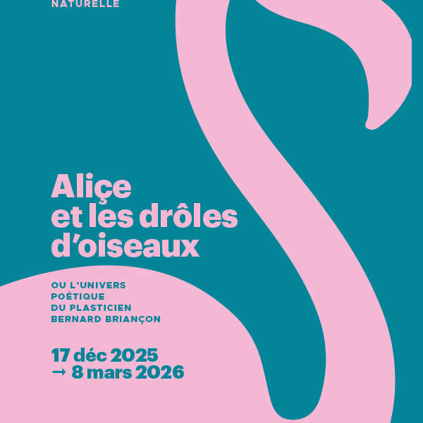 Visites flash animée "Aliçe et les drôles d'oiseaux"