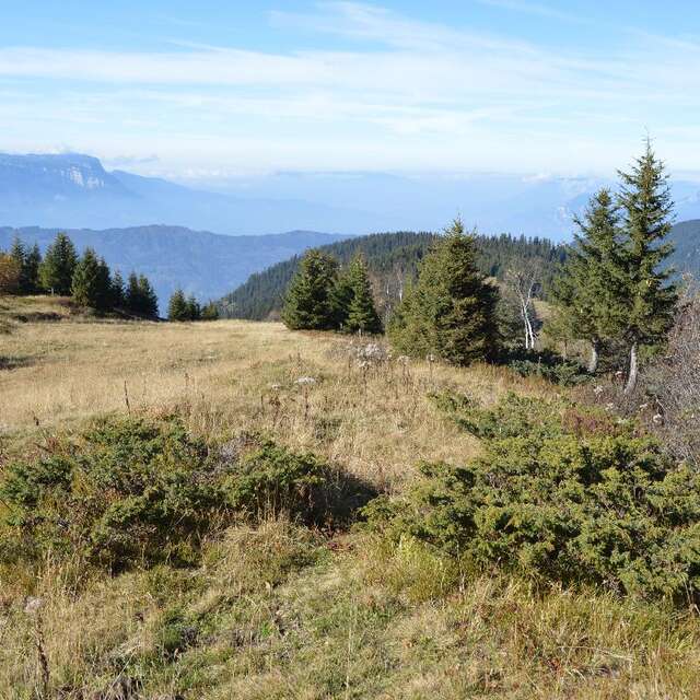 Espace naturel sensible du lac du Mont-Mayen et alpage du Praillet