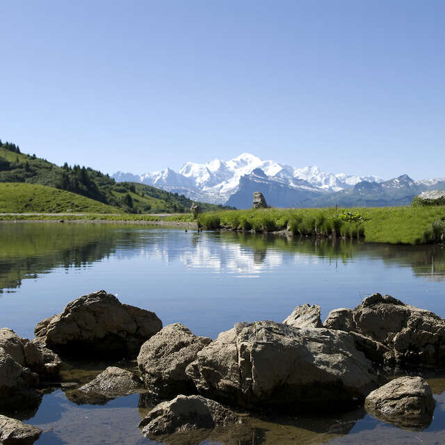 Parcours trail 15 bleu  : Nyon Joux Plane