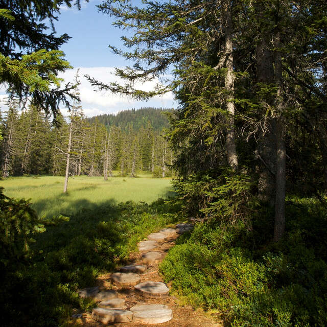 Sentiero della flora e dell'ambiente naturale
