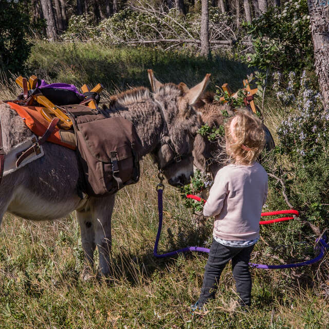 Kommentierte Tour im Eselsschritt: Die Pfade der Windmühlen