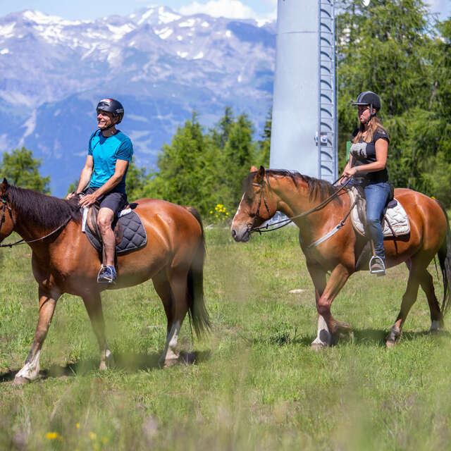 Gourmet horseback riding