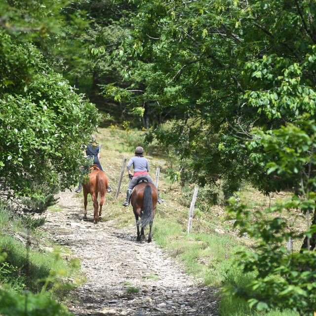 Ferme Equestre des Mourènes