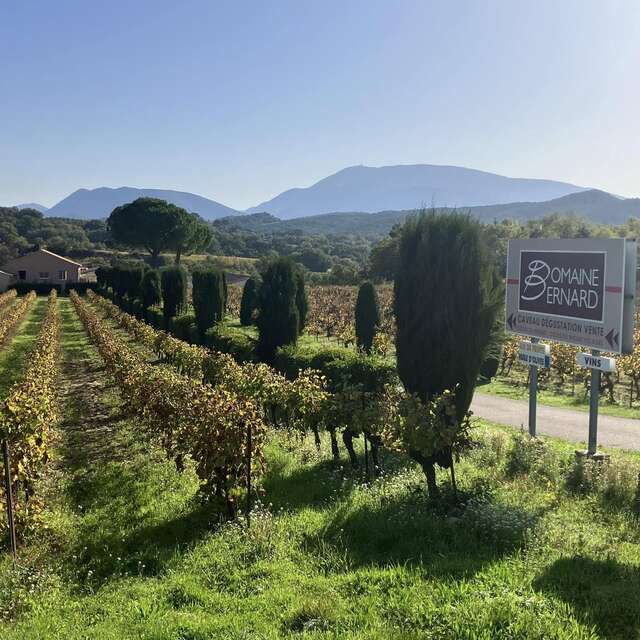 Gastronomische wandeling en Paëlla in de wijngaarden