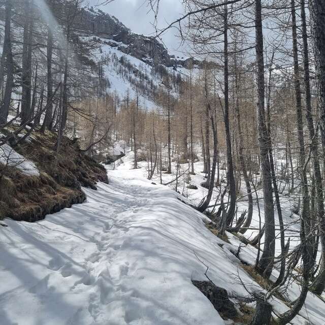 Cours d'escalade et activités alpinisme - C'Roc montagne