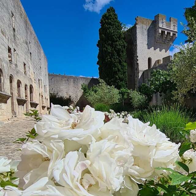 Château de Tarascon