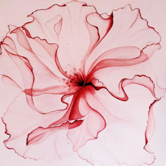 Exposition de la peintre-photographe Iva Chirpanlieva