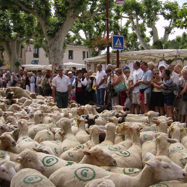Fête de la Transhumance