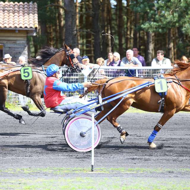 Courses Hippiques - Hippodrome de Jullianges