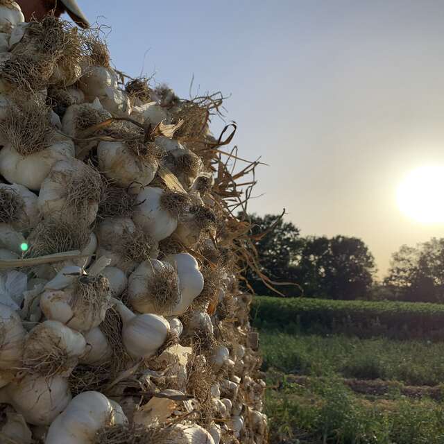 Balade à la Ferme du Lavoir des Puys