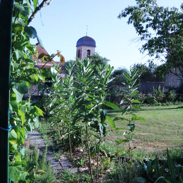 Verjon, de l'église au château