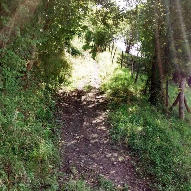 Itinéraire VTT Le Trouillet - Le Villard