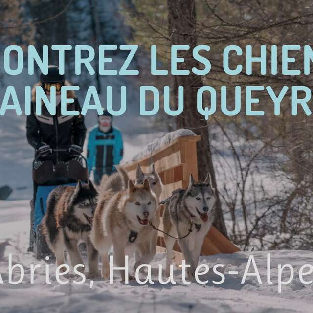 Baptême chiens de traineaux