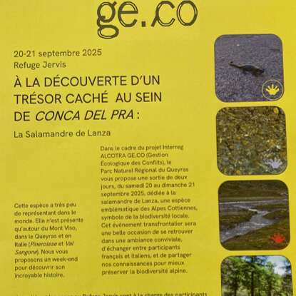 A la découverte d'un trésor caché au sein de Conca del Pra : la Salamandre de Lanza