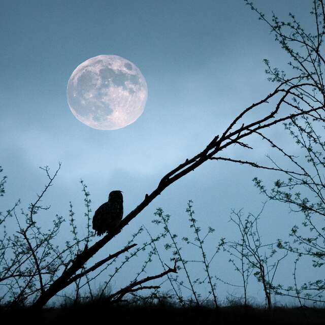Au bout du jour, la nuit !