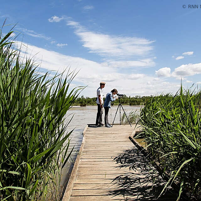 Les Marais du Vigueirat
