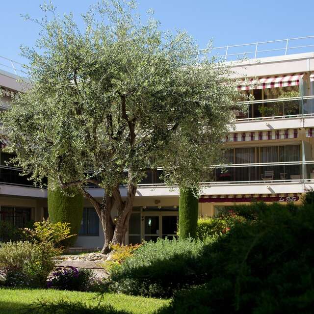 Hôtel Les Strélitzias