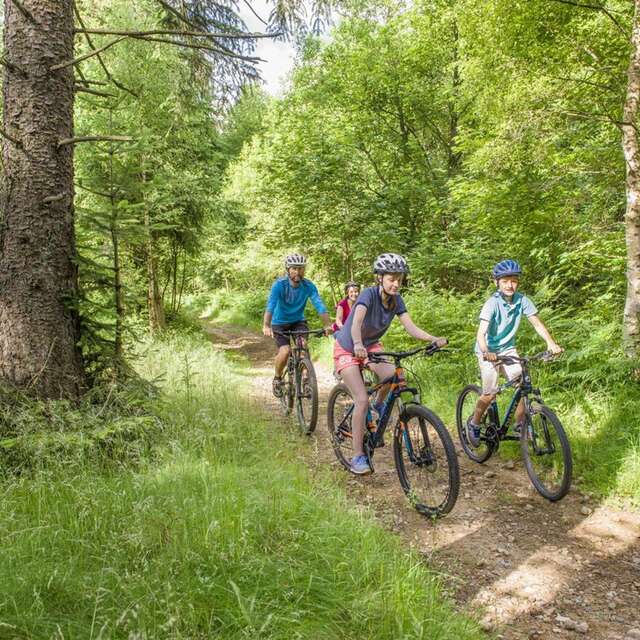 2 - Le Bois de Peybrousson