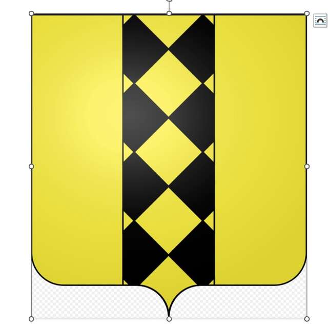 Le Blason de Mons