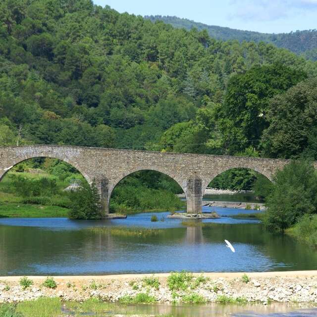 Le Pont Vieux
