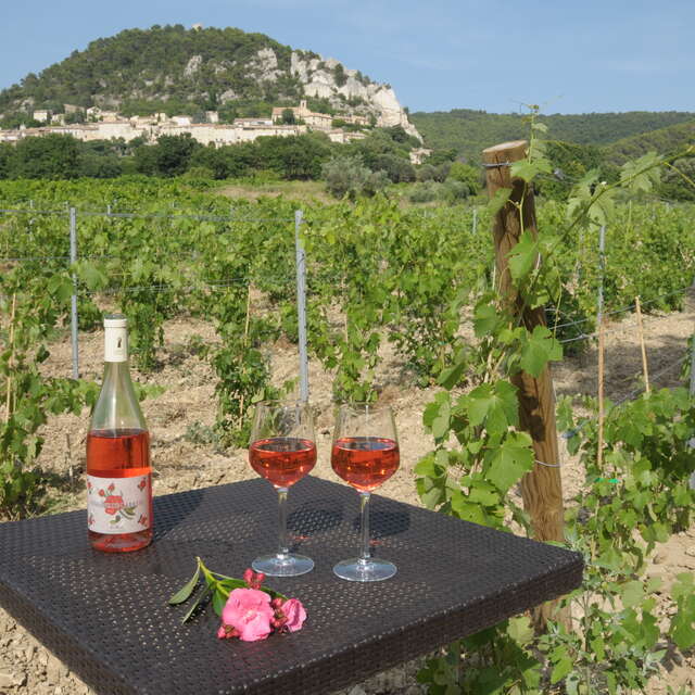 Domaine de Cabasse